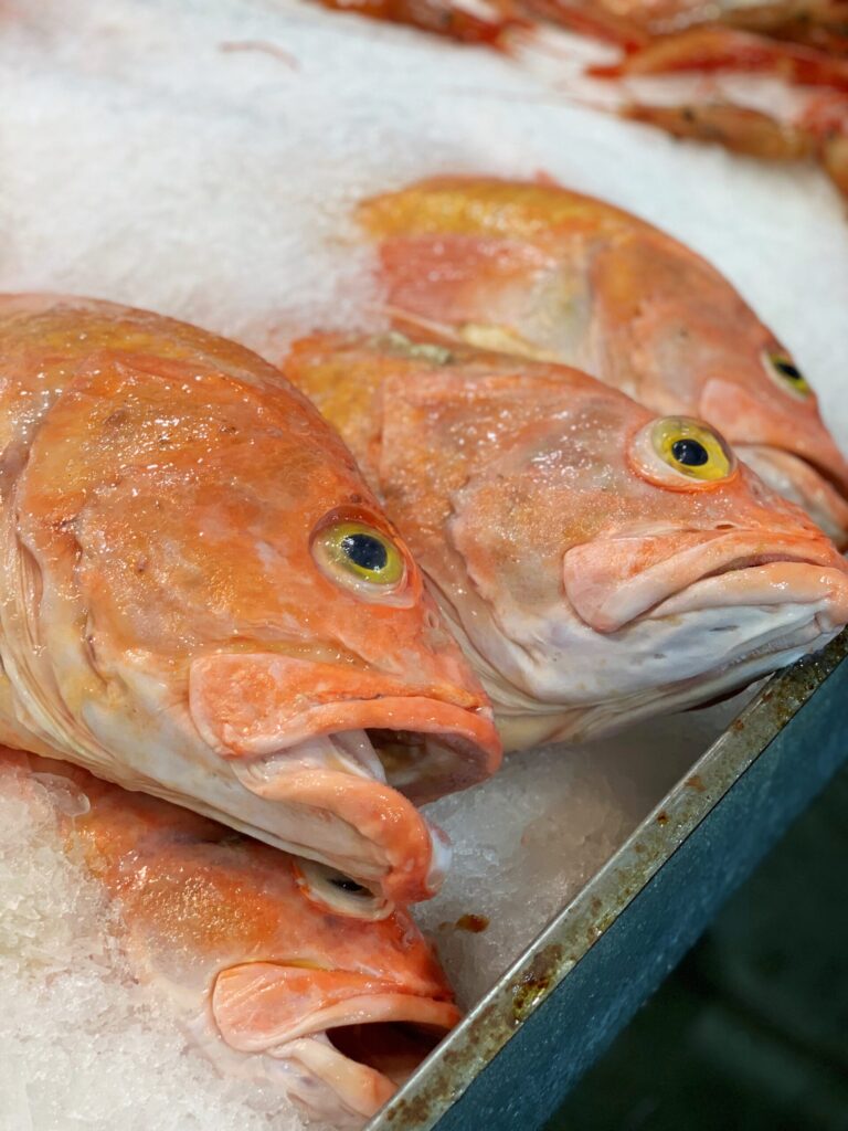 Golden Eyes Snapper Stock Photos and Pictures - 145 Images